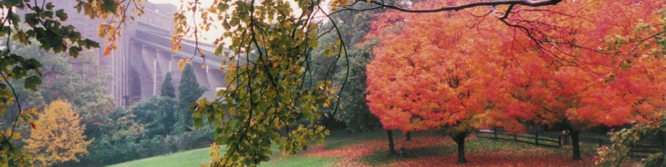 Fall at Wolf Trap