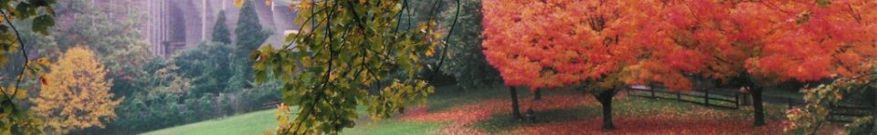 Fall at Wolf Trap