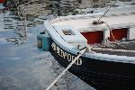Ernestina Close up