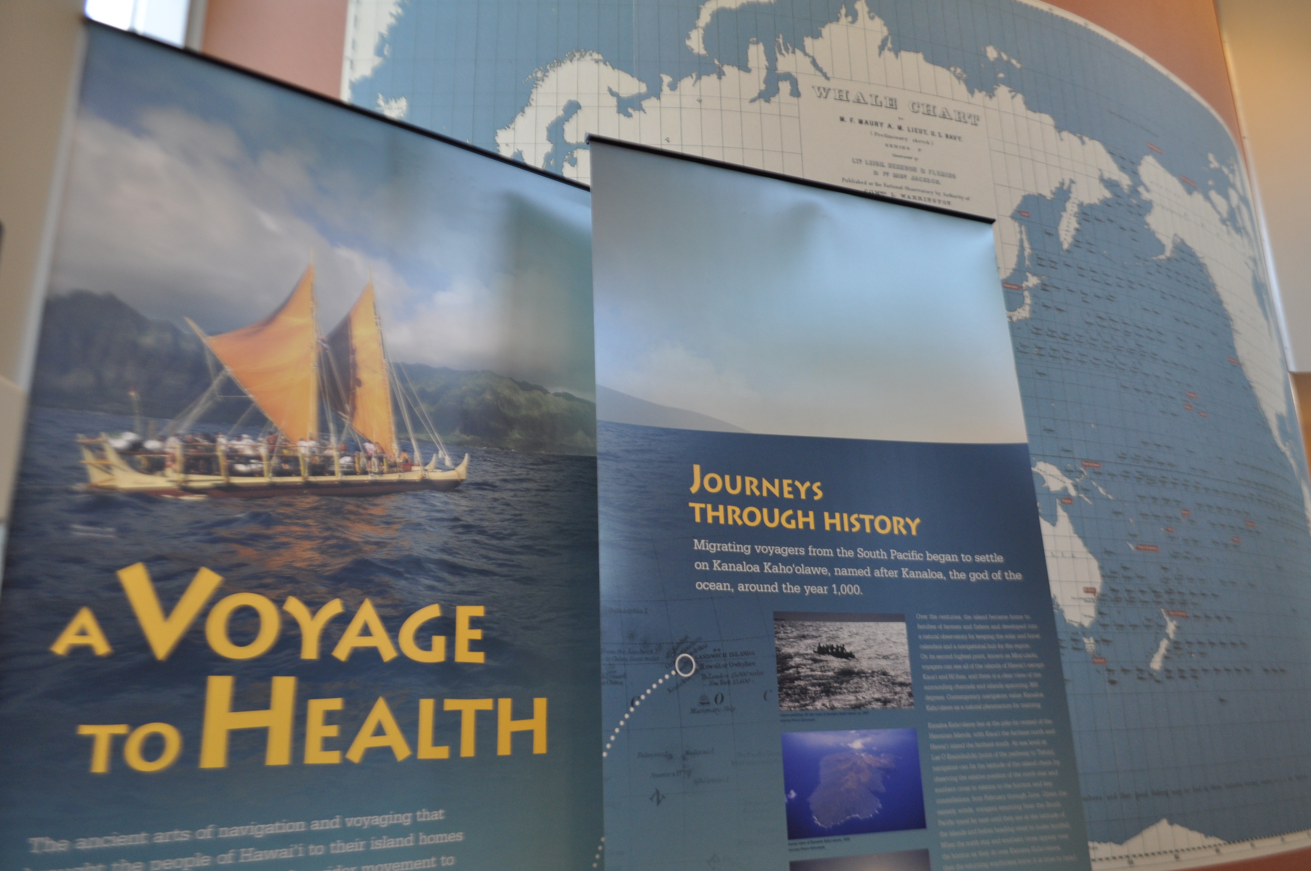 Introductory panel from A Voyage To Health exhibit