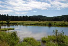 Musselshell Meadows, Idaho