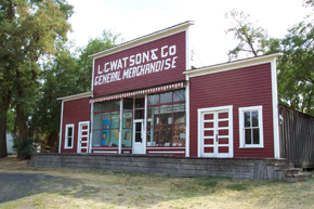 The Watsons Store