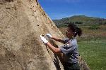 Buffalo Hide Tipi