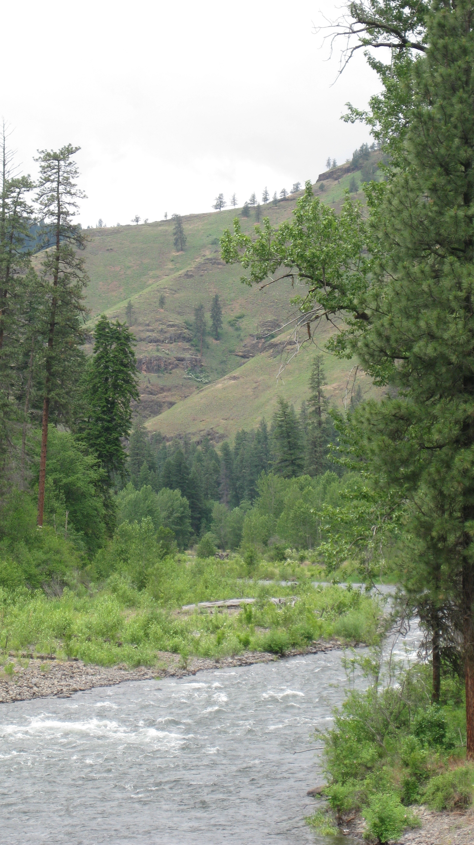 Wenaha River and landscape, Oregon