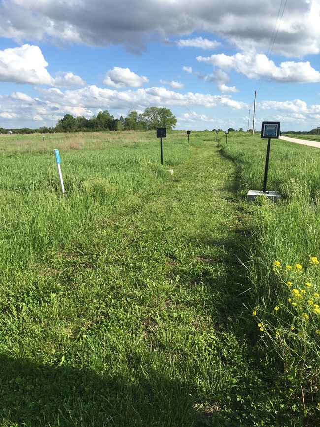 A mowed path through prairie. There are numbered signs along the trail that correspond to stops in the augmented virtual reality tour.