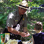 Park ranger talking to child