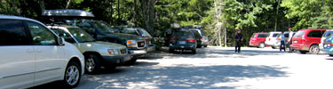 Parking lot congestion with cars along road