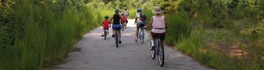 Biking on Assateague is a great way to explore the island and avoid summer traffic and parking problems. 30 kb