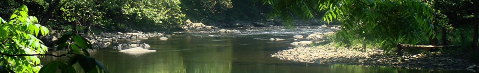 river flowing through forest