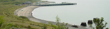 Beach at Spectacle Island