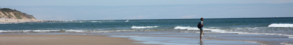 Atlantic Ocean beach at Cape Cod National Seashore