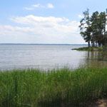 View of the James River from Black Point on Jamestown Island View of the James River from Black Point on Jamestown Island
