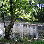 Cedar Creek Cedar Creek