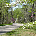 Colonial Parkway Colonial Parkway