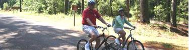 Two visitors biking the Jamestown Island Loop Drive
