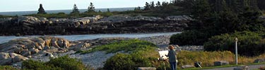 An artist-in-residence paints the Schoodic shore.