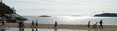 An intern leads children across a gravel bar during low tide.
