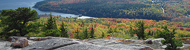 Fall colors on a mountain