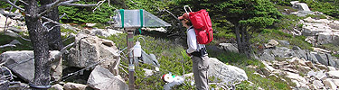Researcher looks at collection equipment.