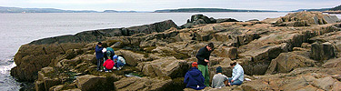Students on Schoodic shoreline