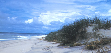 Wind and waves continually reshape the shoreline of Assateague Island. 21kb