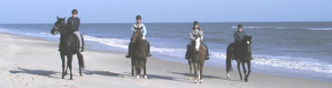 Day use horseback riding is permitted seasonally on Assateague Island, 24kb. Photo by Leslie Passano