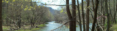 Bluestone River view