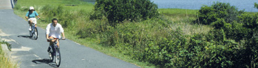 Nauset Bicycle Trail, Eastham