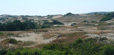 The dunes of the Province Lands, Provincetown