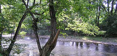 Cedar Creek