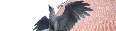Photo of raven statue