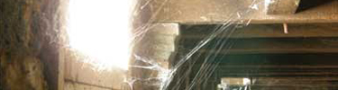 Photo of spiderwebs in Poe's basement