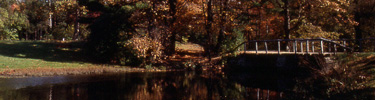 Bridge at Val-Kill