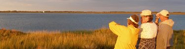 Birdwatching - Nelson's Island - Rowley