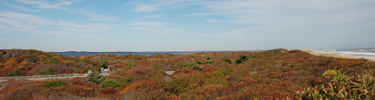 Fall foliage at Watch Hill.