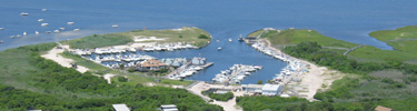 Aerial view of Watch HIll Marina.