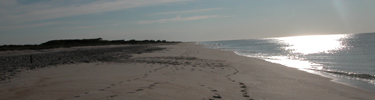 Sunrise over Barrett Beach.