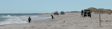 Fishermen and vehicles on beach.