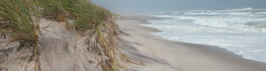 Dune face erodes as waves break on shoreline.