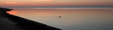 Ducks on Great South Bay from Patchogue.