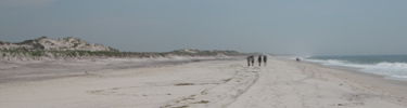 Small group of backpackers hiking down beach.