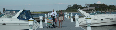 Boats and people in marina.