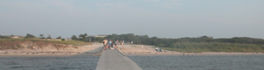 People stroll down Barrett Beach dock.