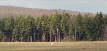 View of the crash site from the temporary Flight 93 Memorial