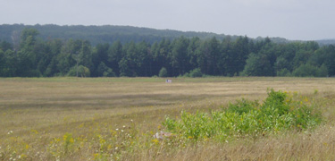 View of the Flight 93 crash site from the Flight 93 Temporary Memorial