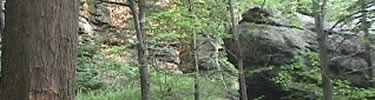 Jumonville Glen