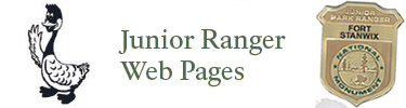 A Fort Stanwix Junior Ranger badge shines, 