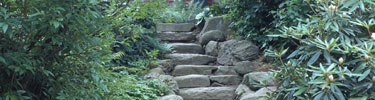 Stairs into the hollow at Olmsted National Historic Site