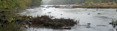 Banks Ford