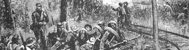 Confederates at Hamilton's Crossing